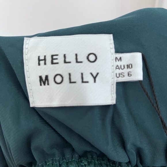 Hello Molly Falling In Style Midi Dress - NWT - green and print - Picture 9 of 9